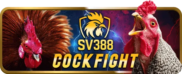Hình ảnh các ưu đãi và khuyến mãi hấp dẫn từ m8win